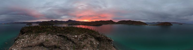 View full size Cardón Dawn, a fine art photograph by Justin Cooper