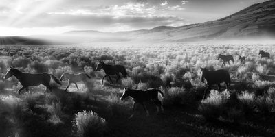 Contrast Stride, fine art photograph by Justin Cooper