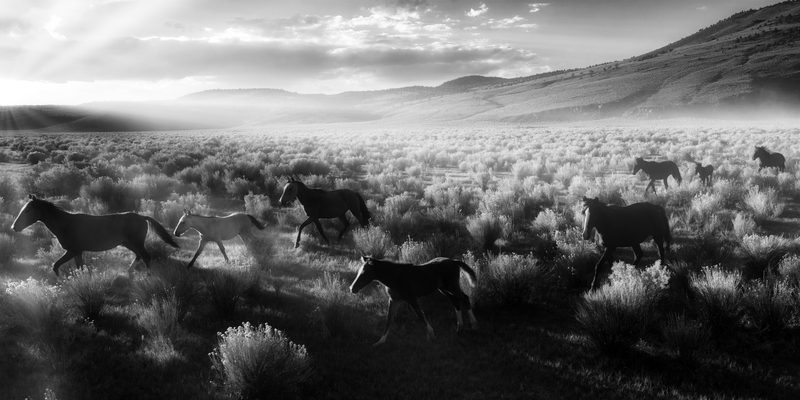 Contrast Stride, a fine art photograph by Justin Cooper