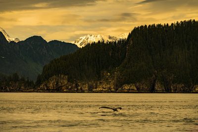 Early Skies, fine art photograph by Justin Cooper