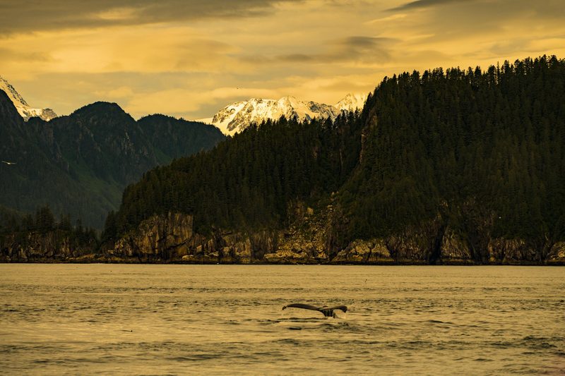 View full size Early Skies, a fine art photograph by Justin Cooper
