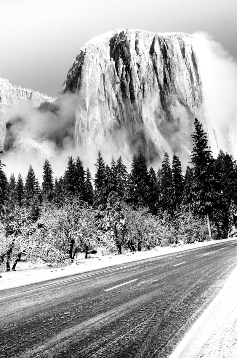 From Below, a fine art photograph by Justin Cooper