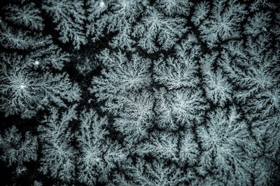 Frozen Space