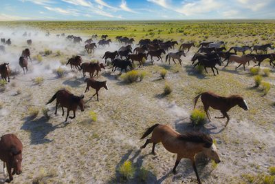 Full Charge, fine art photograph by Justin Cooper