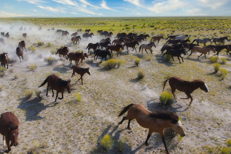 Full Charge, a fine art photograph by Justin Cooper