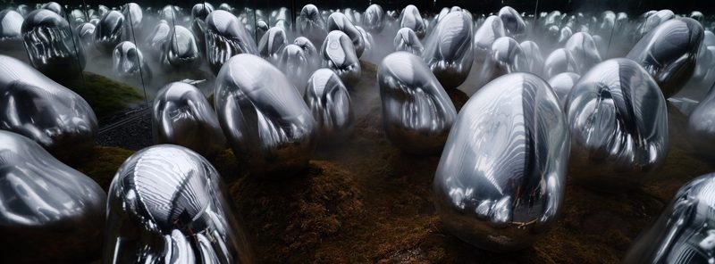 Godzilla's Young, a fine art photograph by Justin Cooper