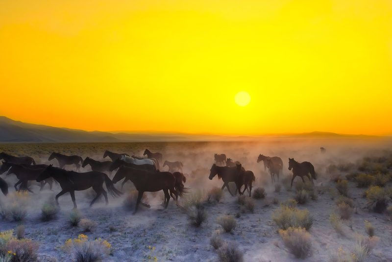 Golden Hour Chase, a fine art photograph by Justin Cooper