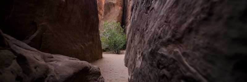 Growth, a fine art photograph by Justin Cooper