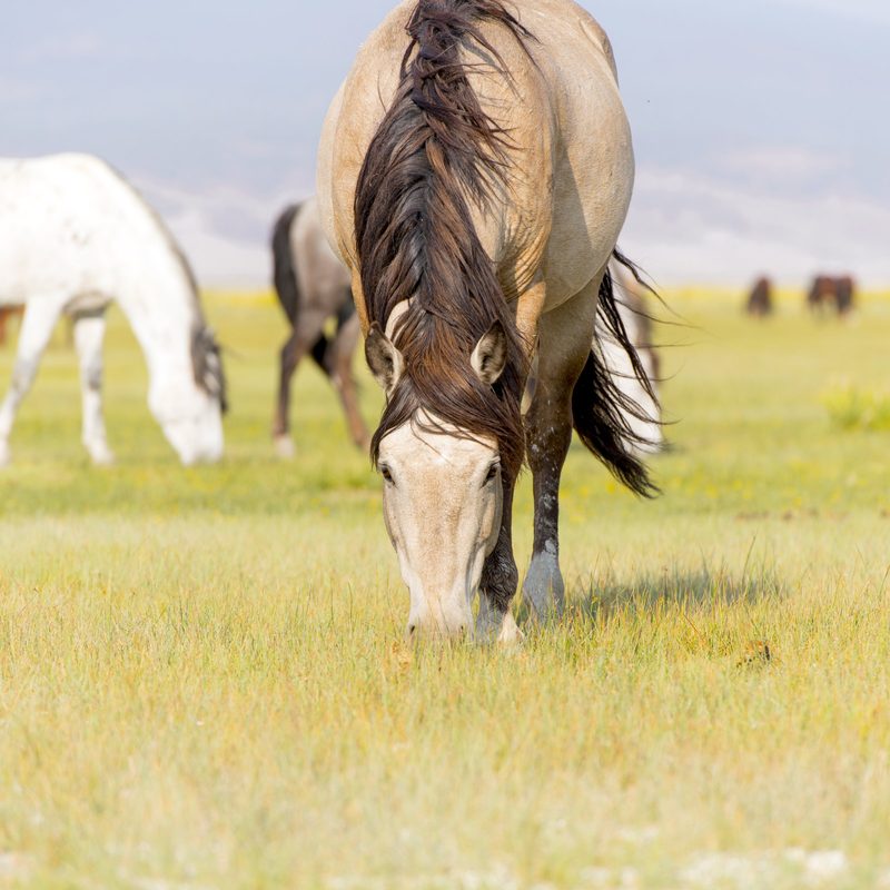 View full size Horizons Gaze, a fine art photograph by Justin Cooper