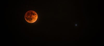 Howling Moon