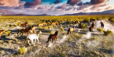 Into The Light, fine art photograph by Justin Cooper