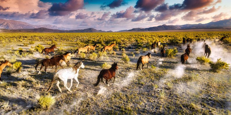 Into The Light, a fine art photograph by Justin Cooper