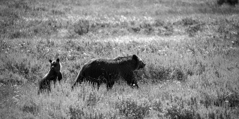View full size Learning The Land, a fine art photograph by Justin Cooper