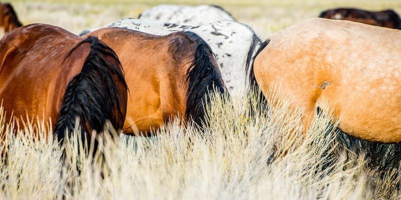 View full size Paints, a fine art photograph by Justin Cooper