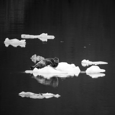 Restful, fine art photograph by Justin Cooper