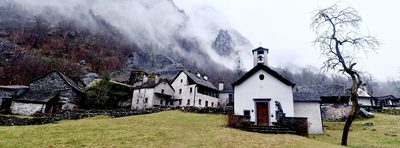 Revival of Spirits