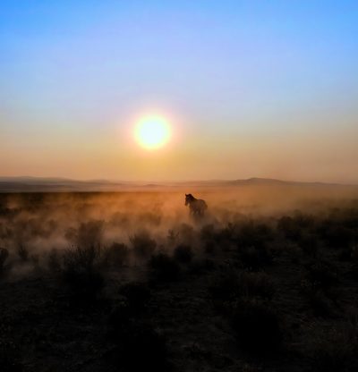 Sun's Companion, fine art photograph by Justin Cooper