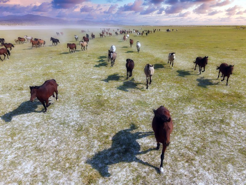 View full size Sunset Stride, a fine art photograph by Justin Cooper