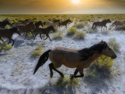 Thunder of Dawn, fine art photograph by Justin Cooper