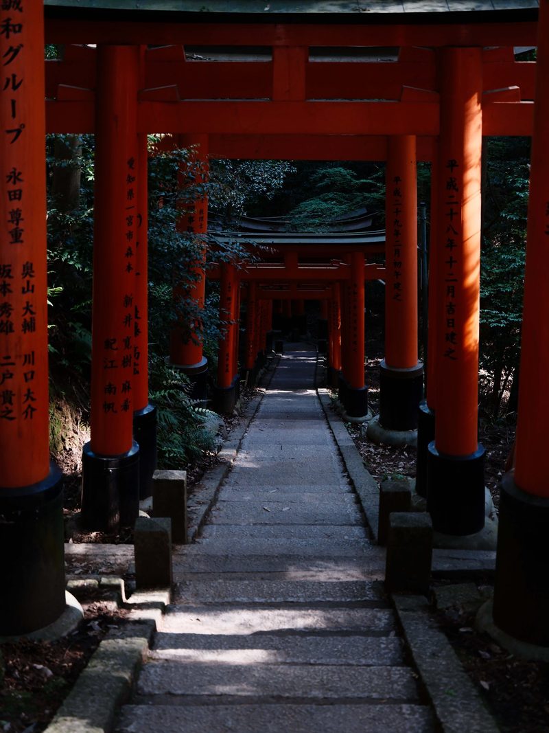 View full size Vermilion Path, a fine art photograph by Justin Cooper