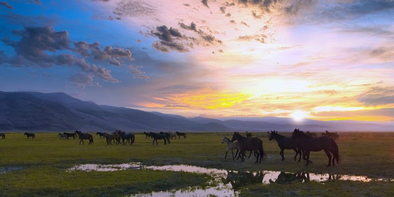 View full size Water Break, a fine art photograph by Justin Cooper