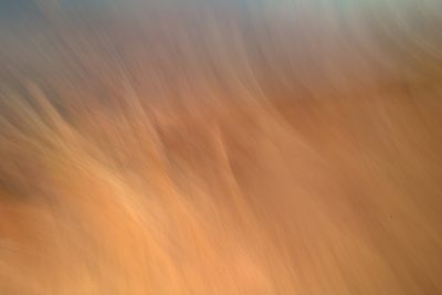 World of Wheat